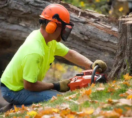 tree services Lawnside